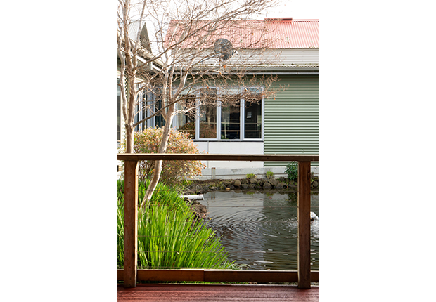 Ron Conn Carousel 14