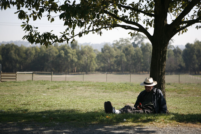 Arthur under a tree